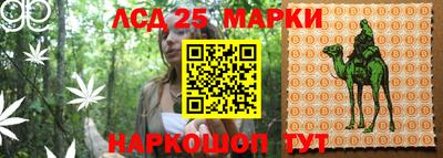шишки Жуковский
