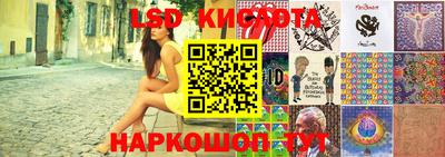 шишки Жуковский